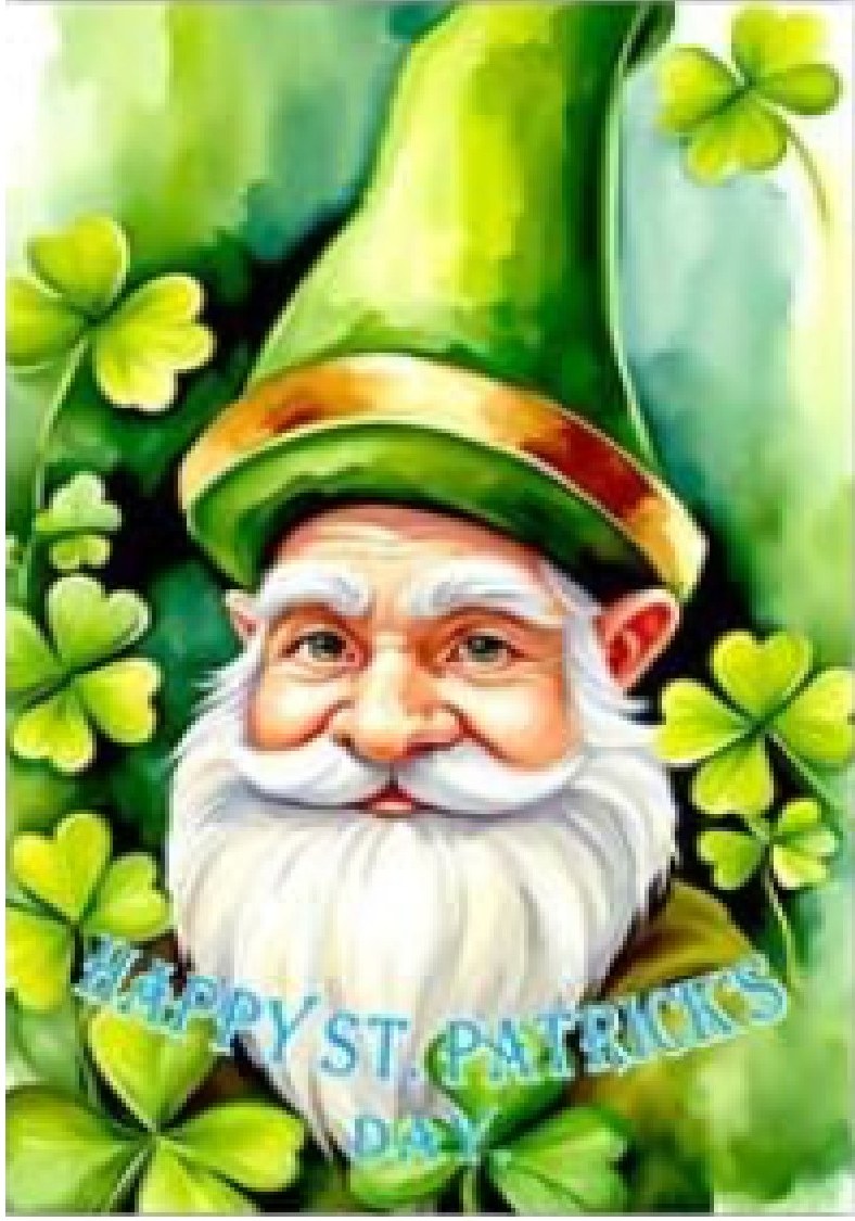 Wee Gnome Portrait cover