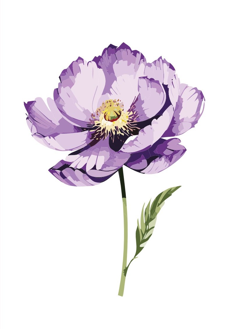 Purple Peony cover